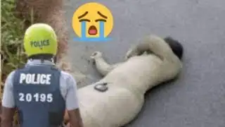 Jamaica news today February 03 2026