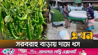 মরিচে ৬শ’ কোটি টাকার বাণিজ্যের সম্ভাবনা, তবু হতাশ কৃষক | Jamalpur Chili Market | Ekhon TV