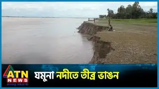 জামালপুরের ইসলামপুরে যমুনা নদীতে তীব্র ভাঙন শুরু | Jamalpur | Jamuna Erosion | ANT News