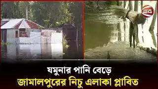 যমুনার পানি বেড়ে জামালপুরের নিচু এলাকা প্লাবিত | Jamuna | Flood | Jamalpur News | Channel 24