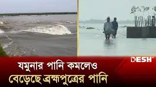 যমুনার পানি কমলেও বেড়েছে ব্রহ্মপুত্রের পানি | Jamuna River | Brahmaputra | Jamalpur | Desh TV