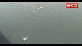 Janjgir News CG: नदी में कूदे युवक का शव 12 घंटे बाद बरामद | प्रेम प्रसंग में दी जान