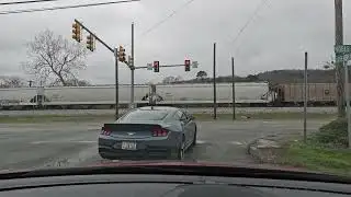 January 3, 2026 elise the least he had his blinker on.