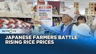Japanese Rice Farmers Struggle Amid Price Hikes