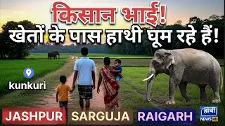 ⚠️ सावधान! खेतों में जाने से पहले ये हाथी न्यूज़ ज़रूर देखें #jashpurnews #kunkuri #ambikapur#