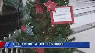 Jasper County’s adoption tree empowers local community change