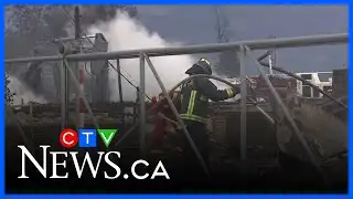 Jasper recovery progress 1 year after the wildfire