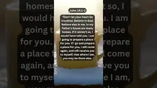 Jesus Saves | John 14:1-3 Daily Bible Verse