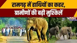 Jharkhand News: रामगढ़ में हाथियों का कहर, ग्रामीणों की बढ़ी मुश्किलें | Ramgarh |  Elephant attack