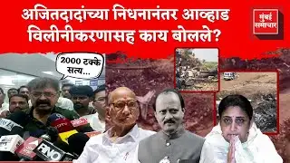 Jitendra Awhad : राष्ट्रवादीच्या विलिनीकरणावर आव्हाडांची प्रतिक्रिया | Ajit Pawar | Sunetra Pawar