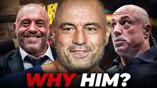 Joe Rogan Isn’t an Accident - Here’s What Really Made Him 
