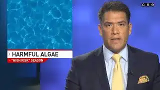 John-Carlos anchors CBS Austin