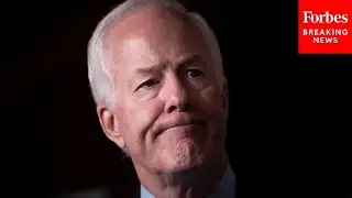 John Cornyn Reveals 