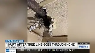 Johnson County woman hurt after tree limb falls through roof