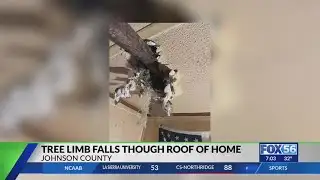 Johnson County woman wounded by tree falling through her roof