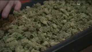 Jonesboro decriminalizes marijuana possession