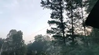 Joro Spider Invasion