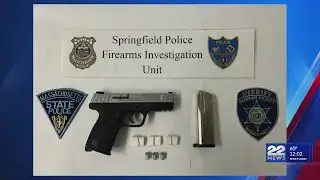 Judge rules Springfield shooting suspect too dangerous