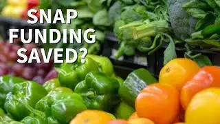 Judges block Trump administration from halting SNAP benefits during shutdown