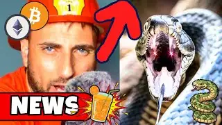 🩸 Juicy News 🐍 BTC $86K, Snake