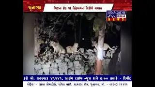 JUNAGADH MIRROR NEWS 21 01 2026