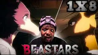 JUNO EXPOSES LOUIS?! 🐺 Beastars Episode 8 Reaction
