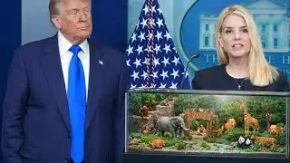 Justice Department CAUGHT pulling Epstein CON ihip news