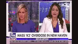 K2 Overdoses Plaguing CT Park - Almost 80 People In One Park