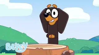 K9 News | Bonus Bits | Bluey