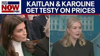 Kaitlan vs Karoline: Are prices really lower under Trump or Biden?