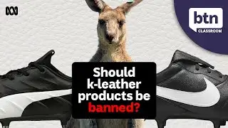 Kangaroo Leather Debate - Behind the News