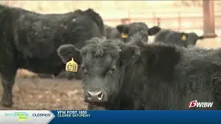 Kansas beef producer breaks down rising beef costs, shrinking herd sizes