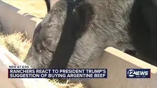 Kansas cattle farmers react to Trump