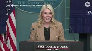 Karoline Leavitt attacks journalist amid question about ICE agents after Renee Good shooting