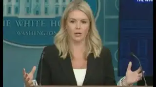 🚨 Karoline Leavitt PANICS after she’s CAUGHT LYING about Epstein