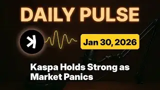 Kaspa Daily (Jan 30) - Kaspa Holds Strong as Market Panics