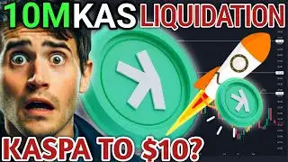 KASPA Whale Wallets Exposed Top 1% Holders Revealed