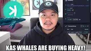 Kaspa Whales Are Buying A Lot Of Kaspa During This Dip