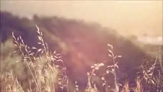 Kathryn Gallagher - Damaged Lyrics (Thanks for Sharing ost.)