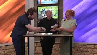 Kato Living Lush Cakes