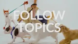 Keep up with news that matters most to you