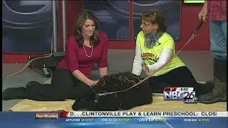 Keeping Farm Animals Warm