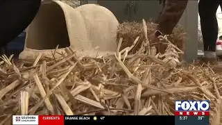 Keeping pets dry and warm