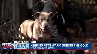 Keeping pets warm in this cold snap