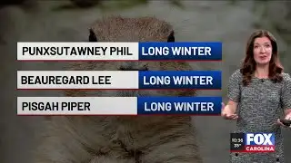 Keeping track of temperatures after Ground Hog day prediction