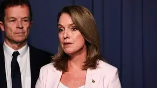 Kellie Sloane expected to become NSW Liberal leader after Speakman stands down