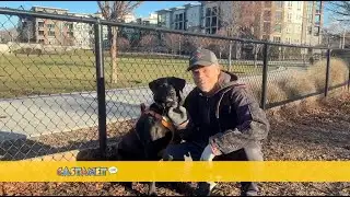 Kelowna man says good dogs should not have to be leashed