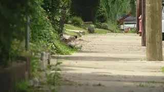 Kentucky congressman makes $1 million investment in Louisville