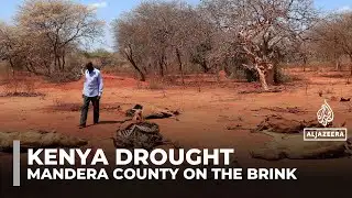 Kenya declares emergency as drought devastates Mandera County