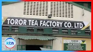 Kericho leaders demand KTDA explain missing Sh1B tea funds